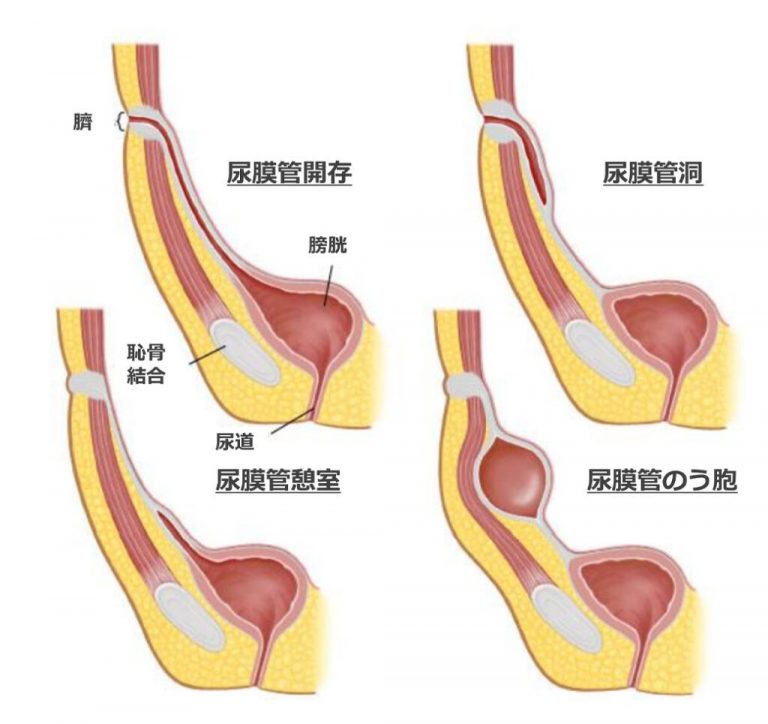 迅果首页-高效官网处理专业工具下载缓存清理面板